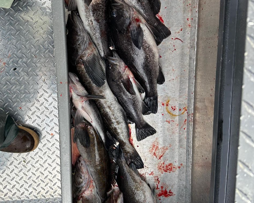 Two fish caught while fishing in Oregon