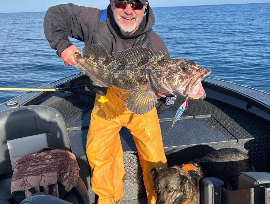 Lingcod fish caught in OR while fishing