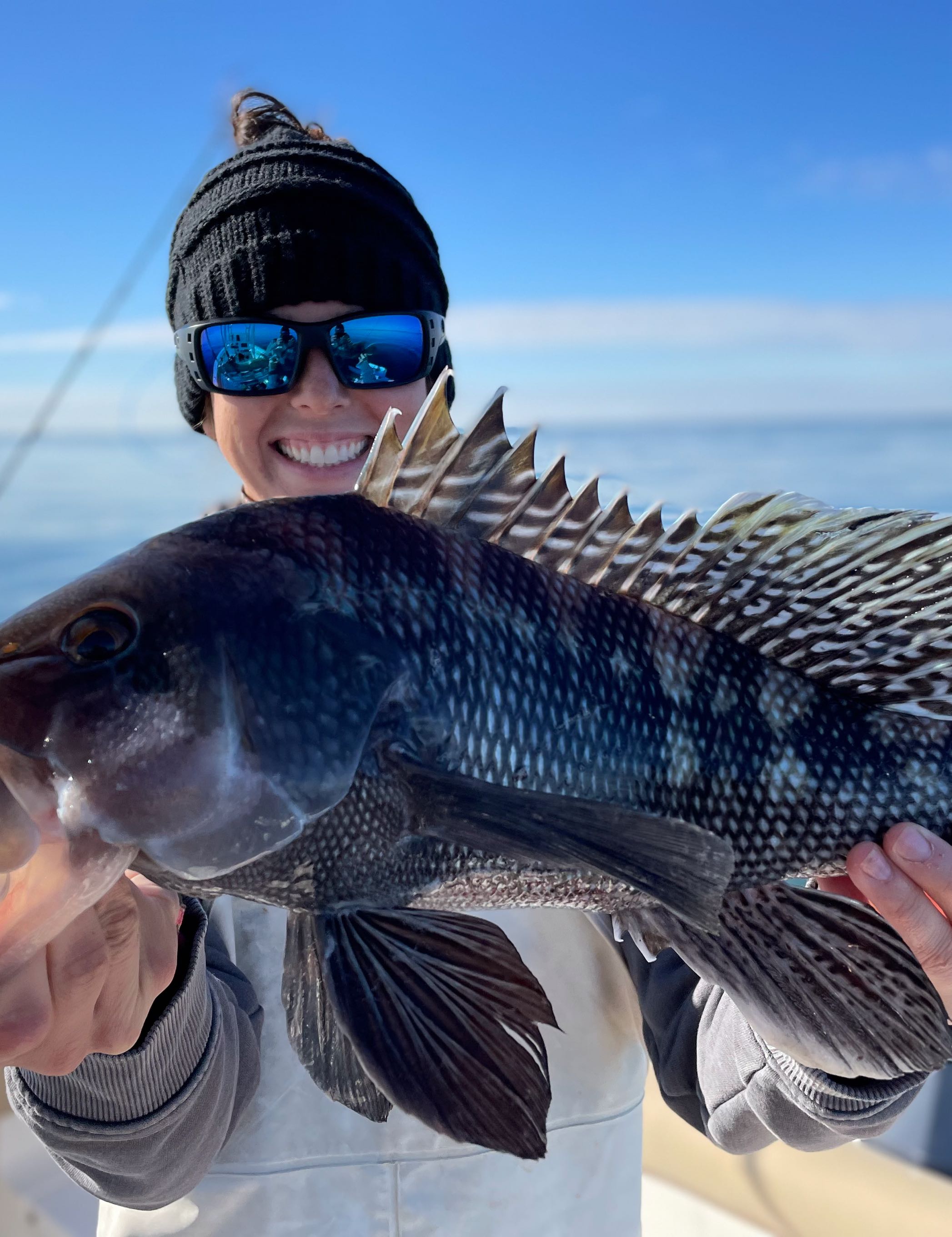 Catch of the day: Massive sea bass landed in Clinton