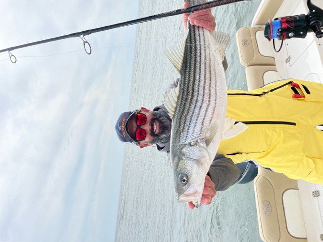 Striped bass caught while fishing in CT