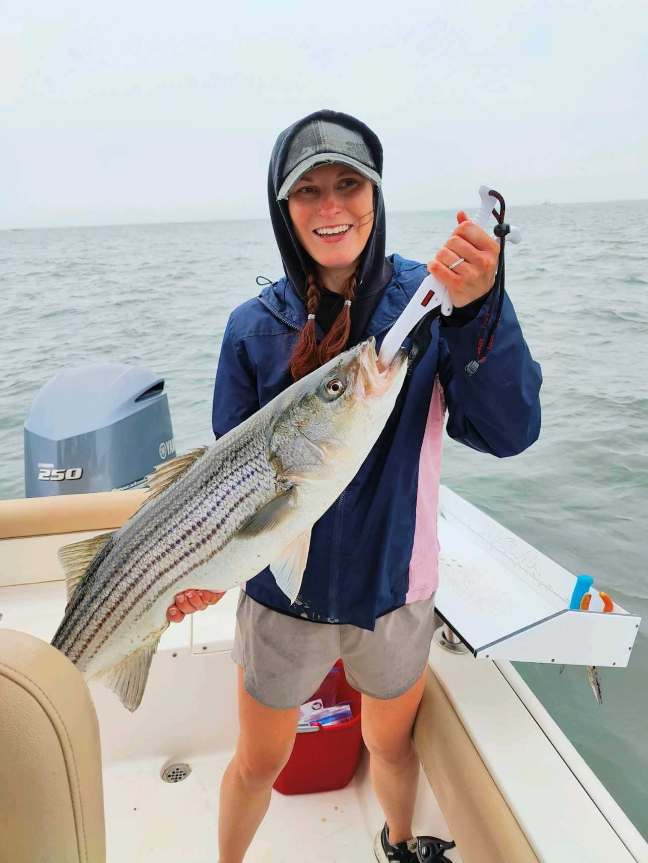 Striped bass caught by angler in CT