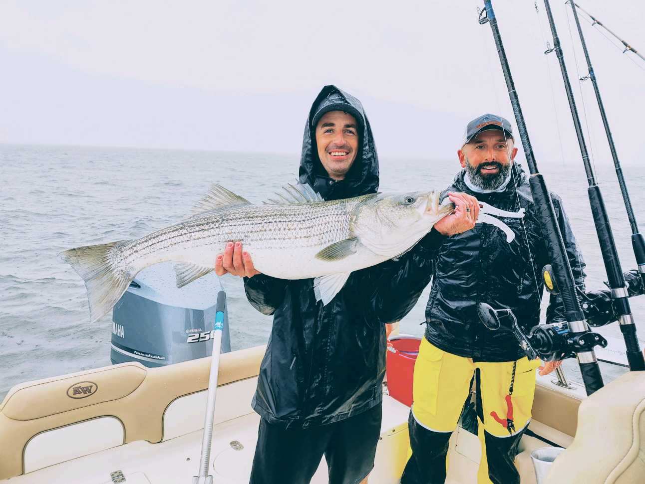 Striped bass caught by two people fishing in Clinton