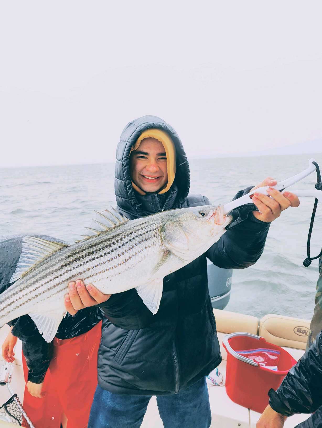 Striped bass caught by angler in Clinton