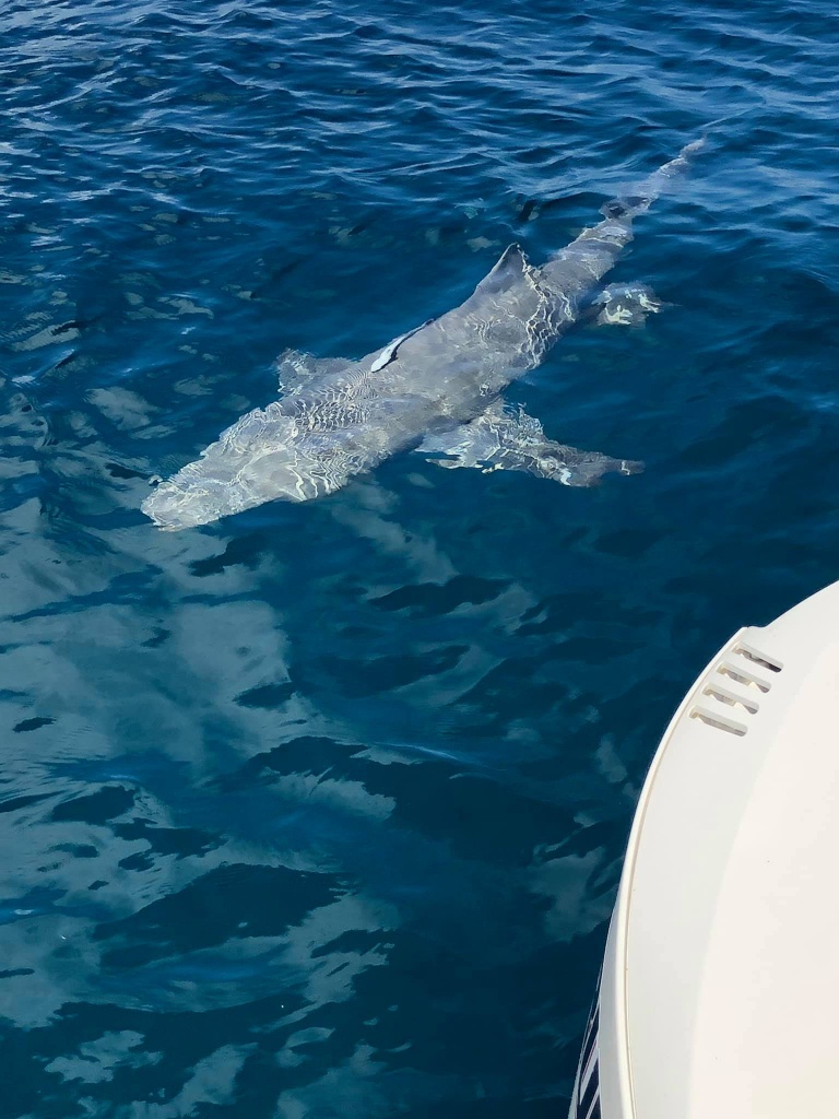 Fishing at Ramrod Key