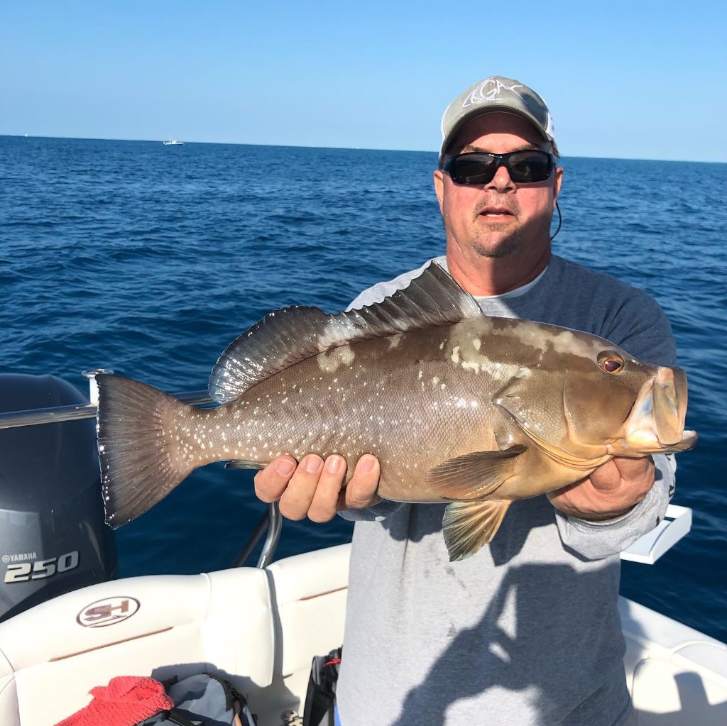 Photograph of a large red grouper caught by a lone fisherman in Ramrod Key