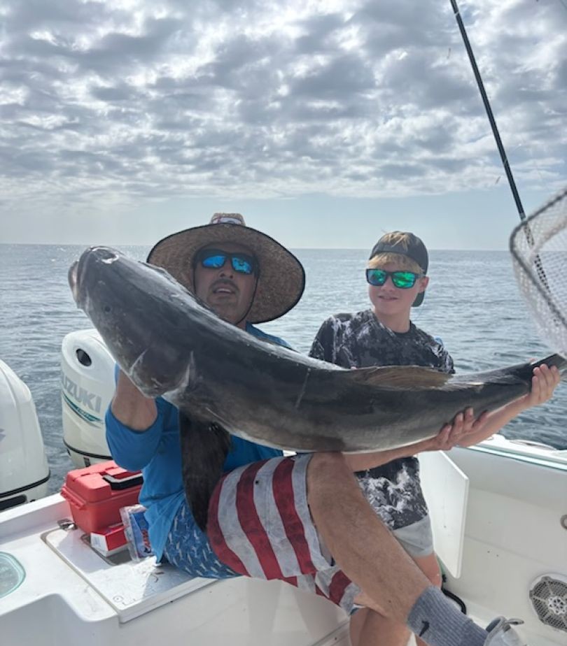 A fisherman catches a cobia in Florida