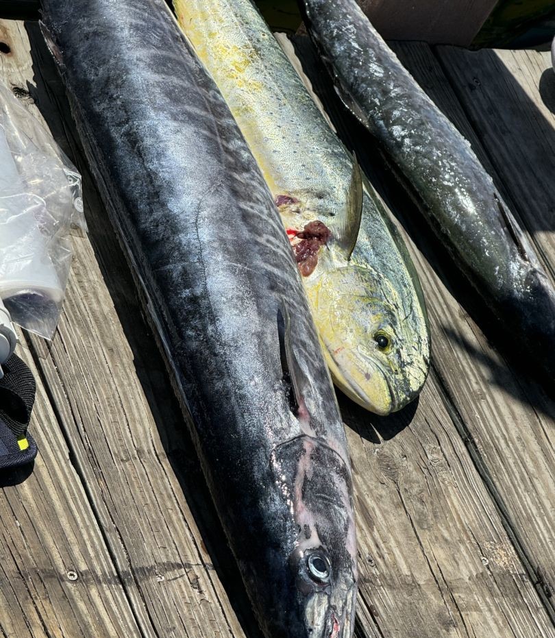 Fishing in the sunny Florida waters