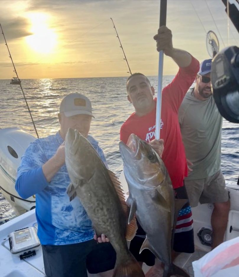 Two Gag Grouper fish caught while fishing in Florida