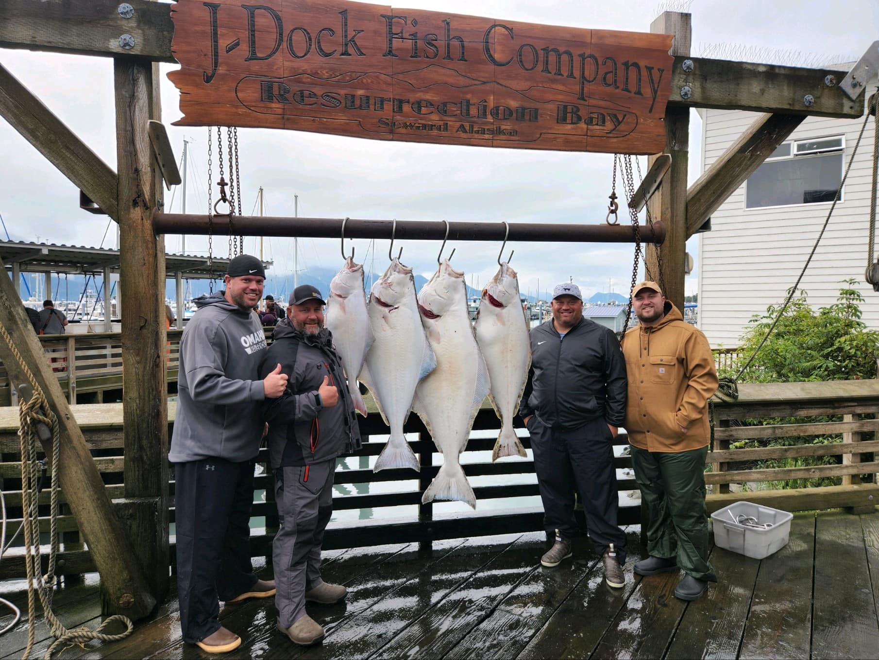Three Pacific Halibut, a large catch in Seward