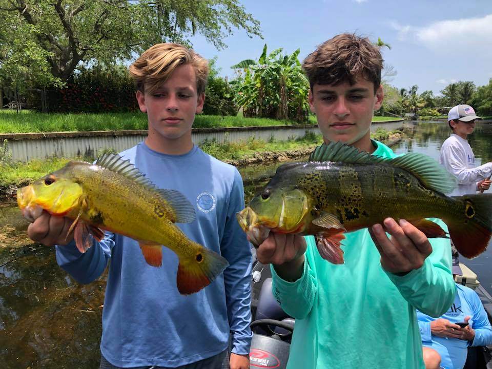 2 big fish caught by 4 people in FL