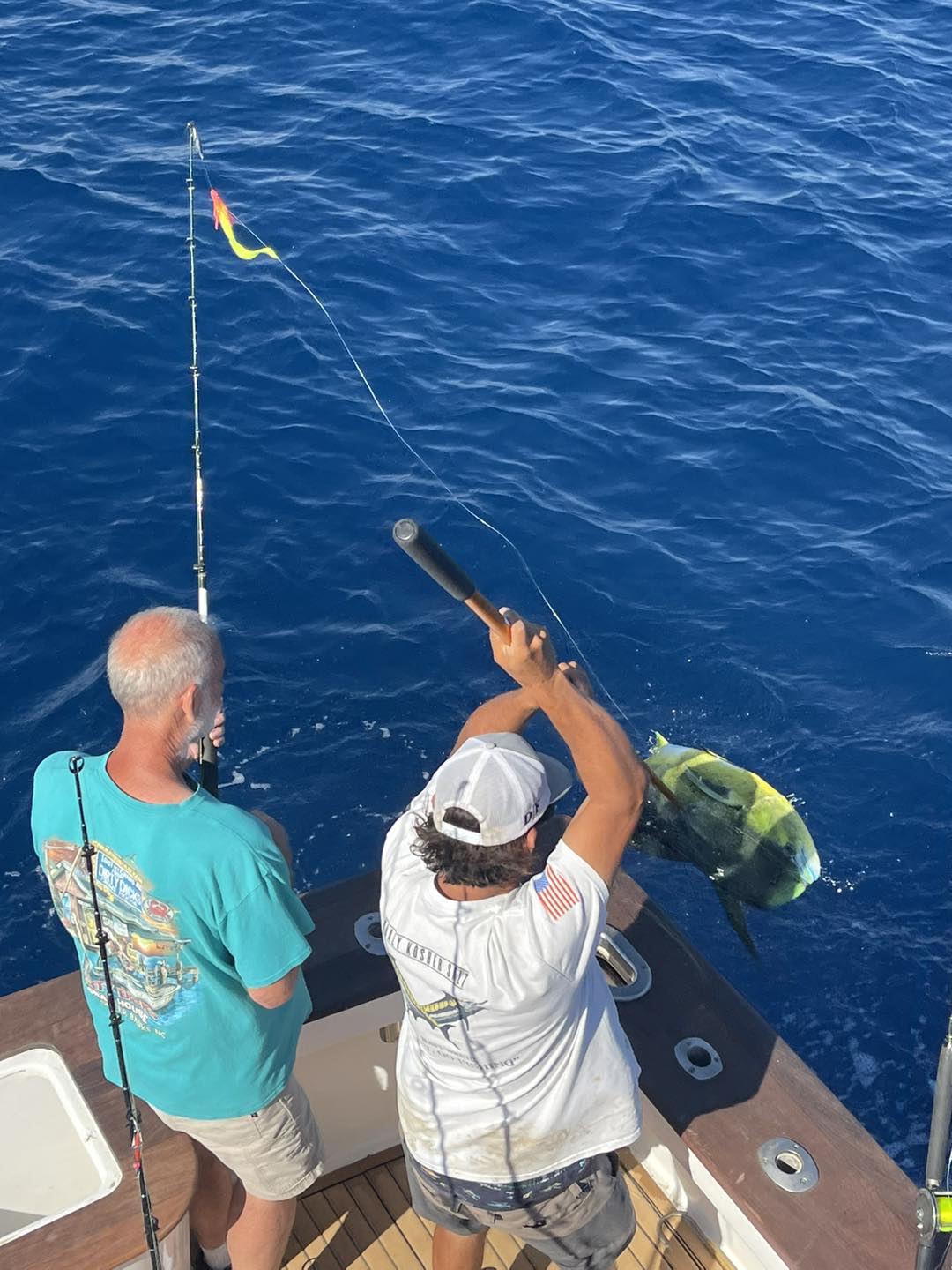 Mahi mahi being caught on fishing boat in Corolla NC waters