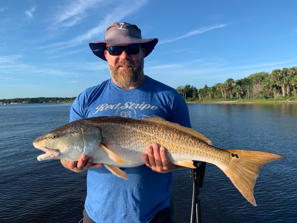 Redfish, 29 inches, caught in FL