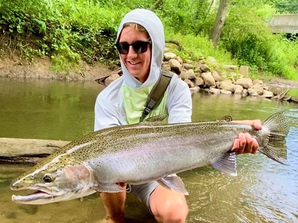 Massive rainbow trout caught in WI