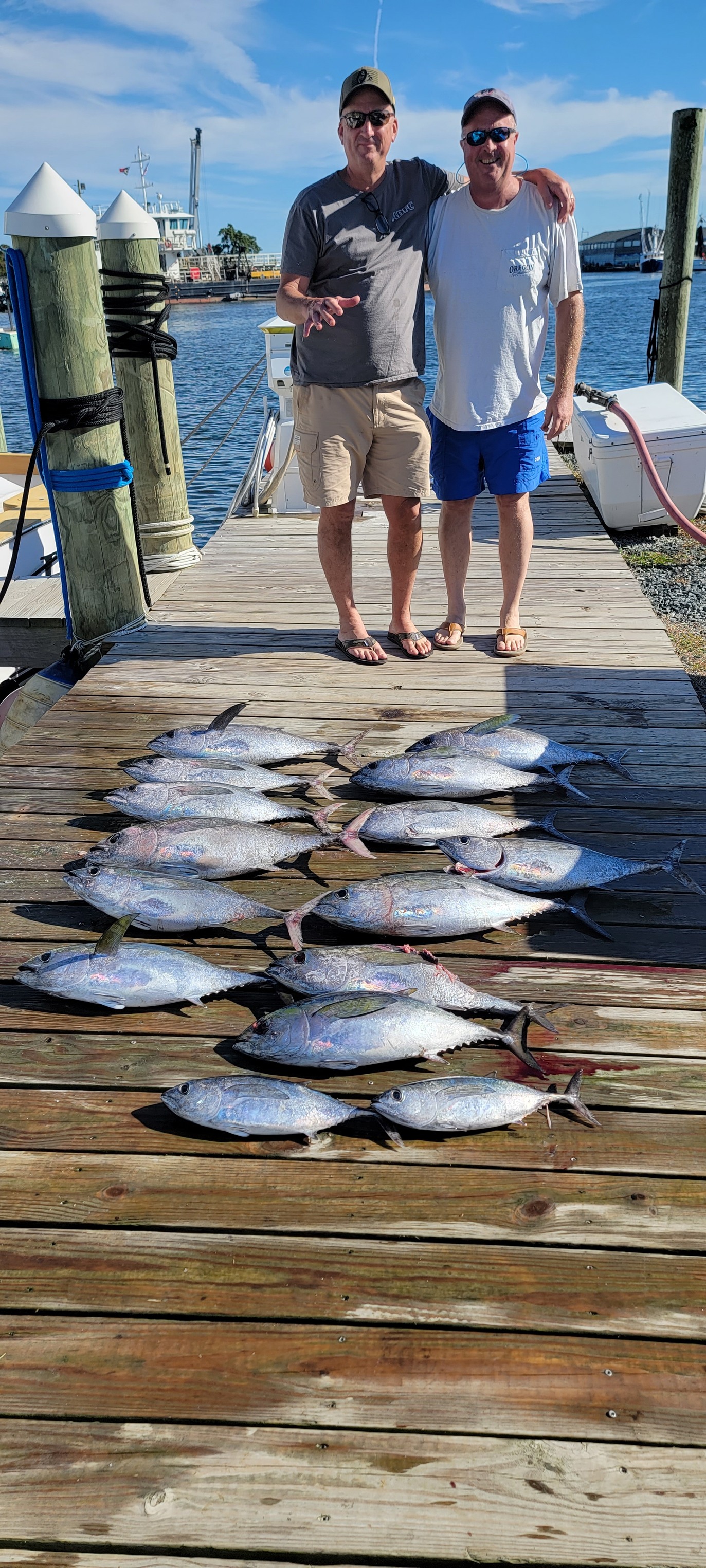 3 blackfin tuna and yellowfin tuna fish caught while fishing in NC