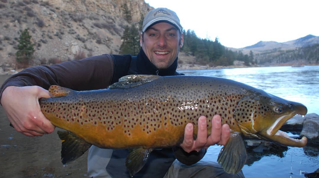Cutthroat trout fishing in MT