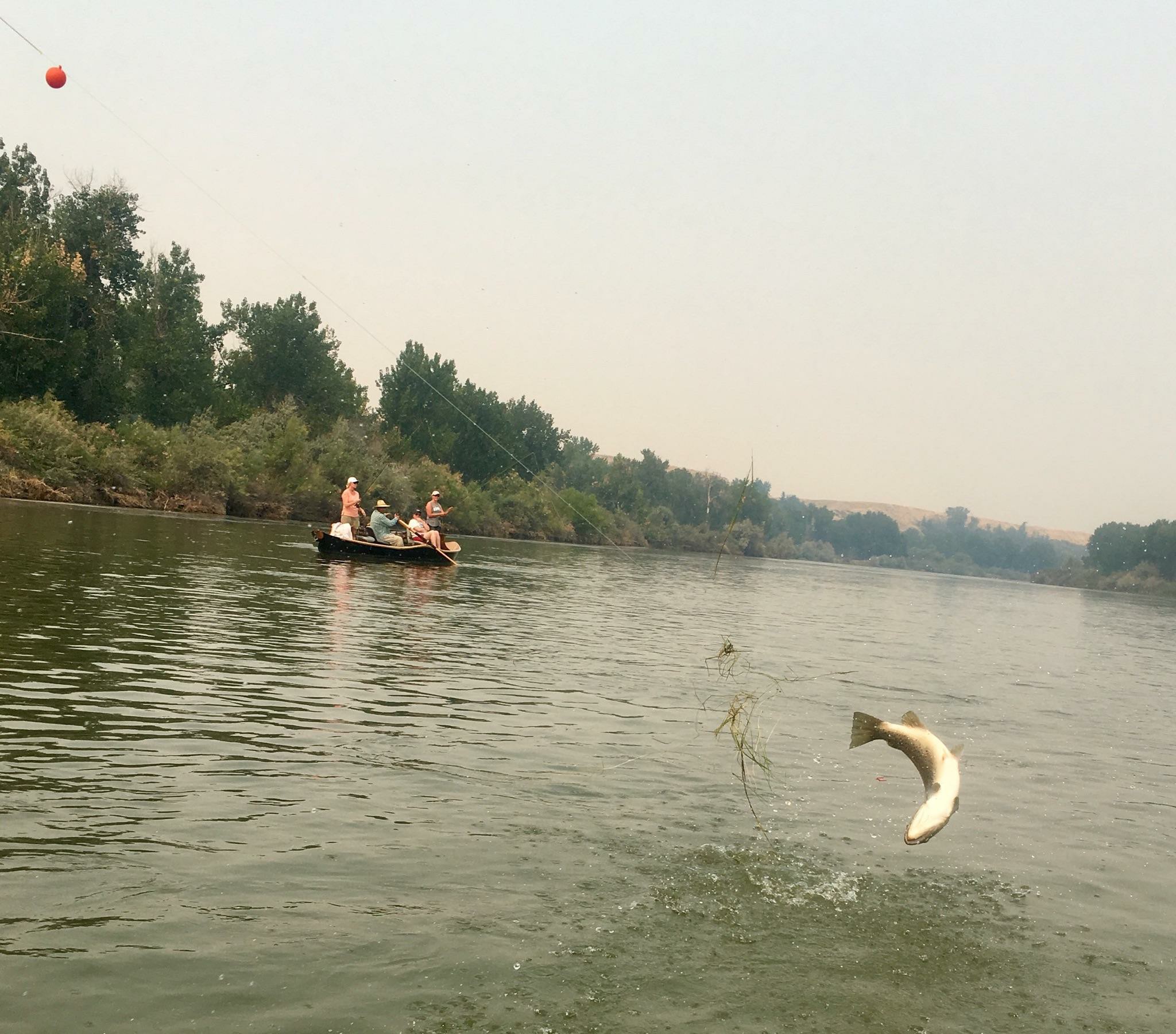 Two people fishing in Billings
