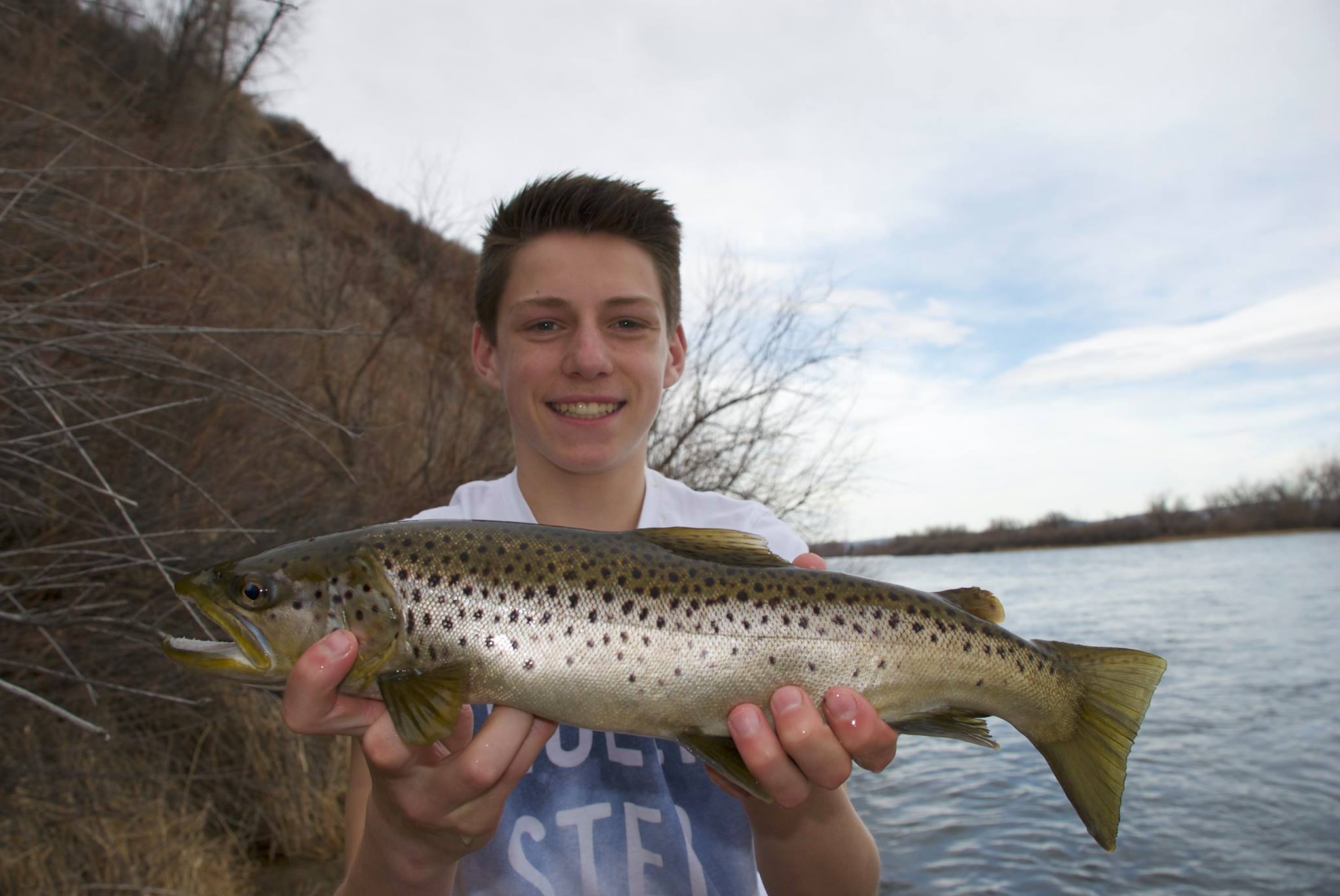 Catch of a sea trout in MT