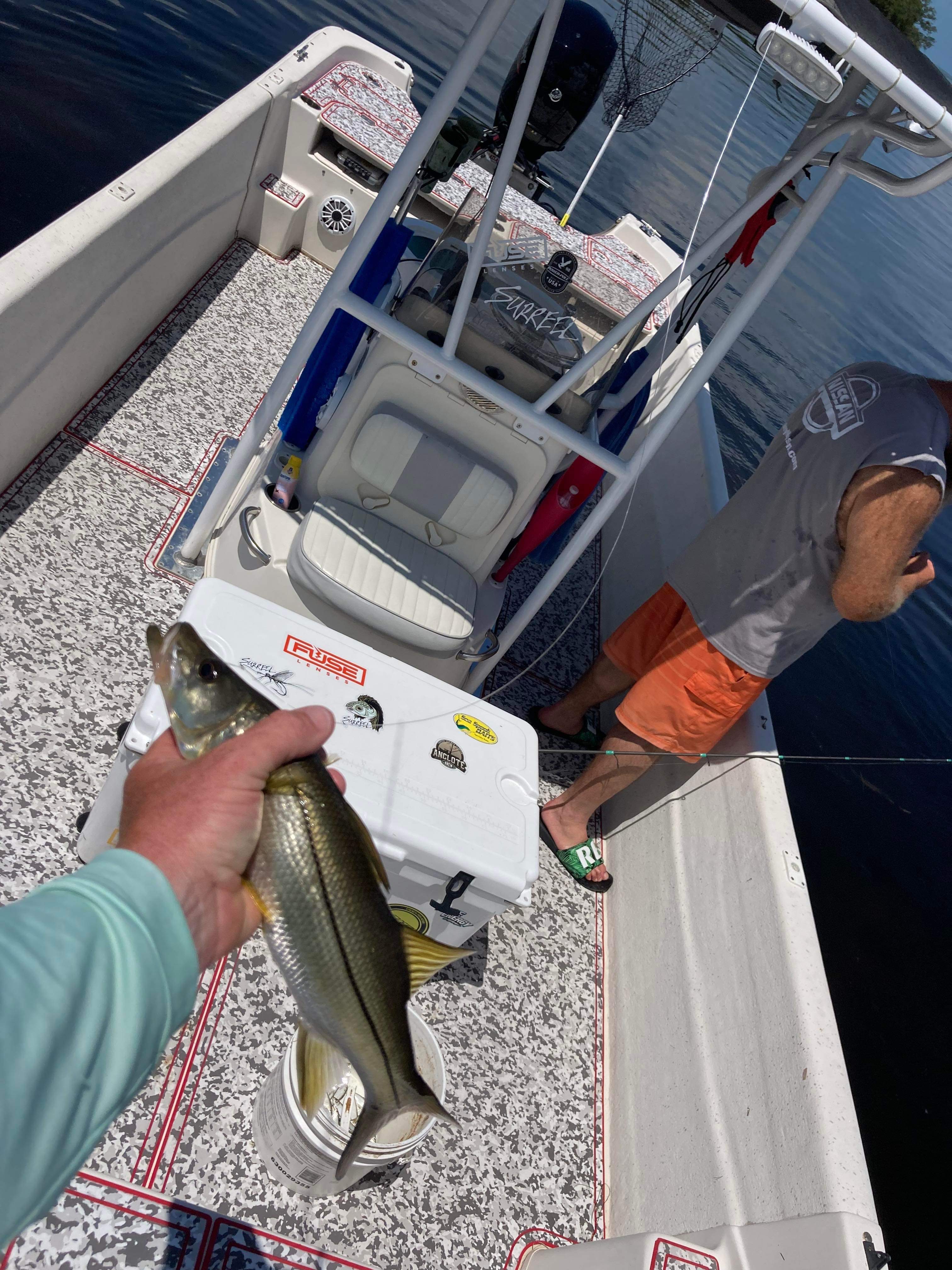 Snook Tampa Fishing Charters 