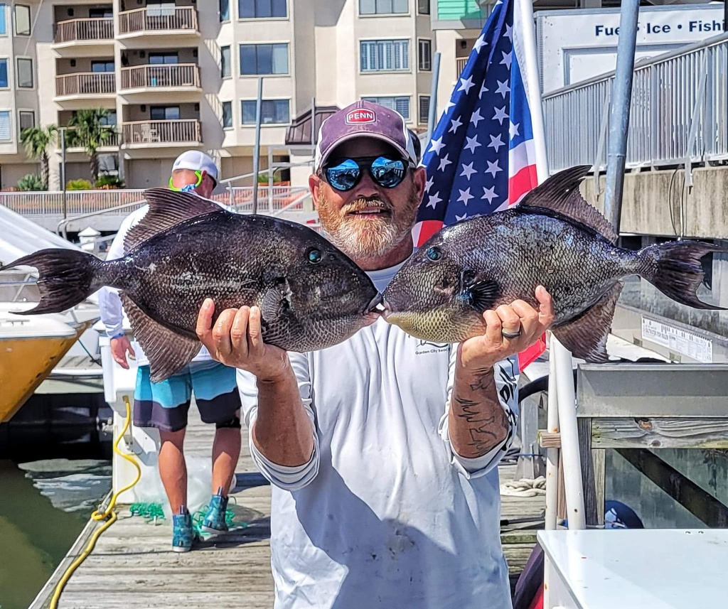 Two grey triggerfish caught in Murrells Inlet
