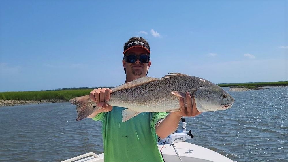 Redfish catch in South Carolina