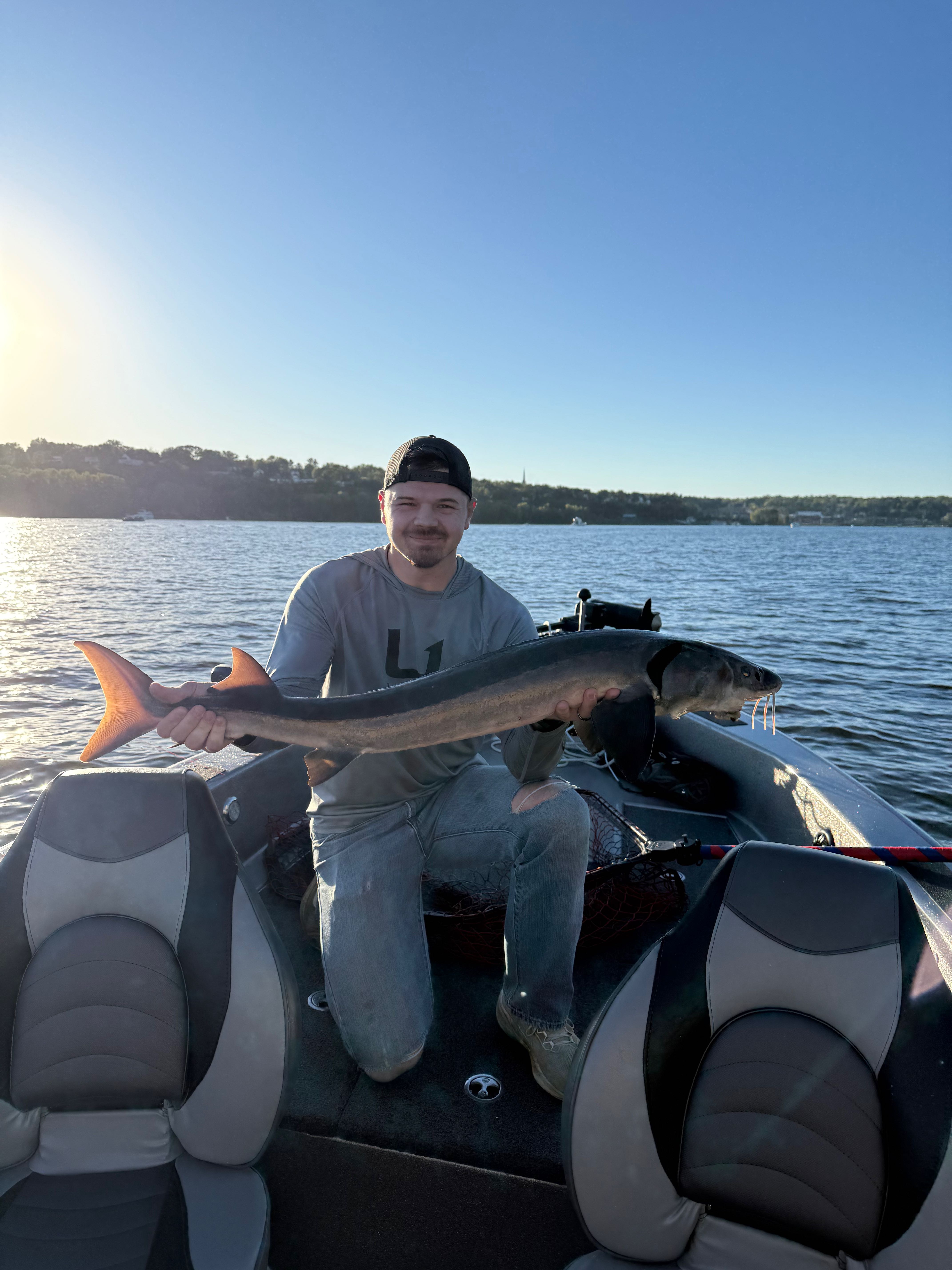Lake sturgeon catch on boat in Stillwater Minnesota waters