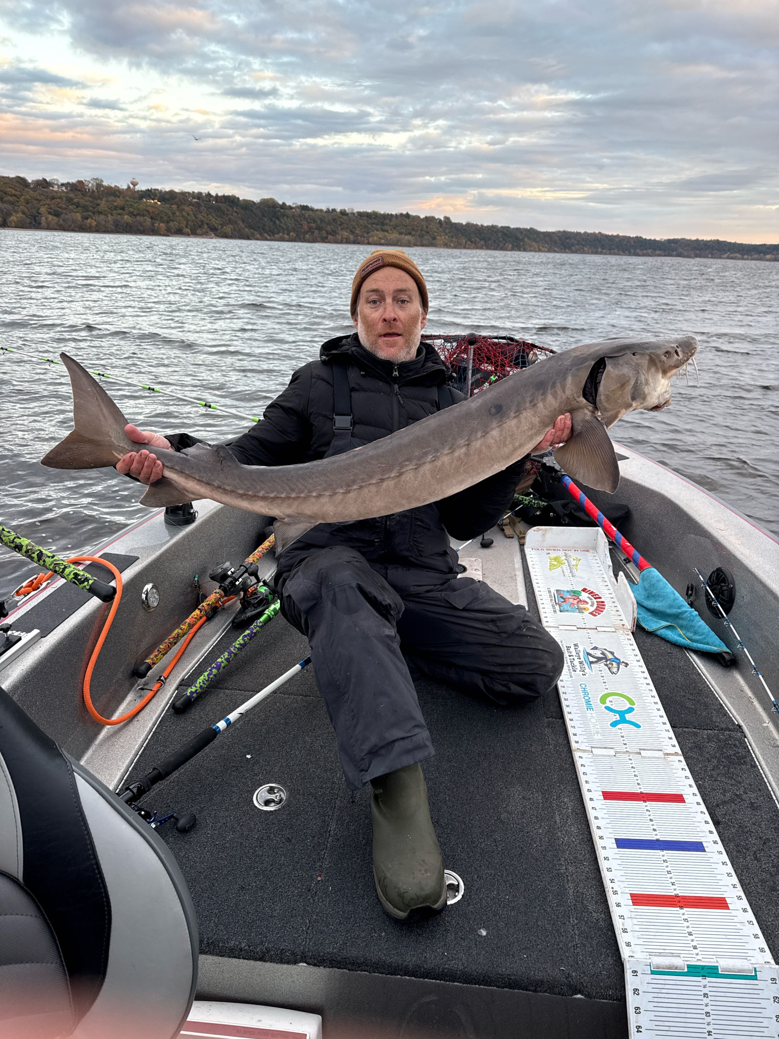 Lake sturgeon catch on fishing boat in Stillwater Minnesota