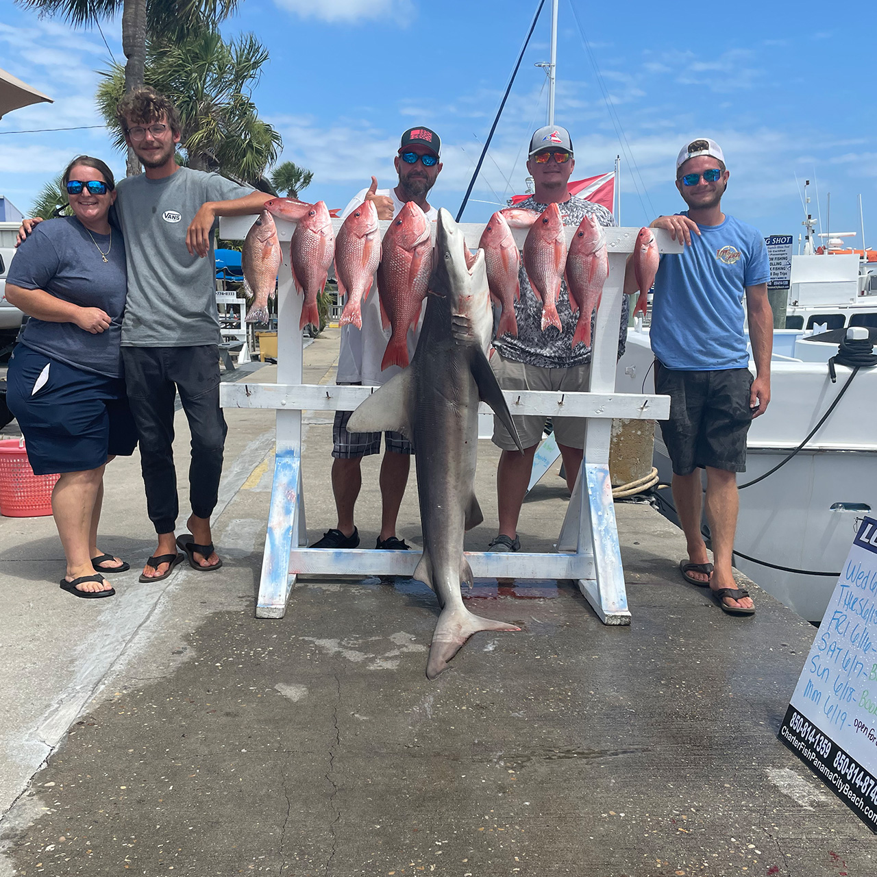 6 Atlantic Sharpnose Sharks at Panama City Beach