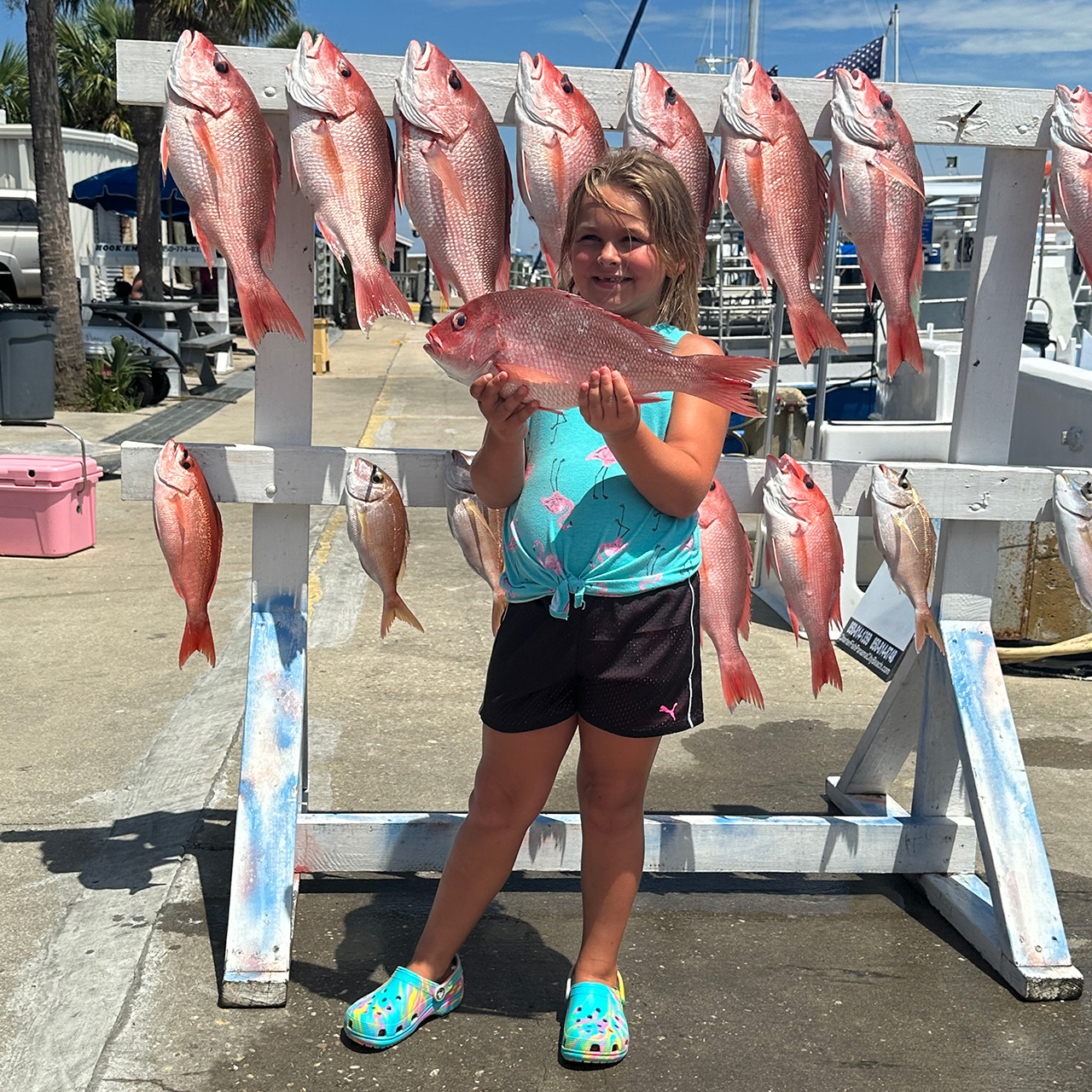 12 fish caught while fishing in FL