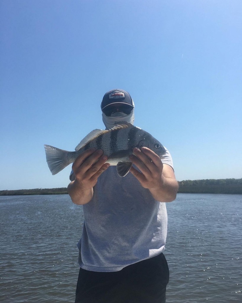 A black drum fish in Kure Beach