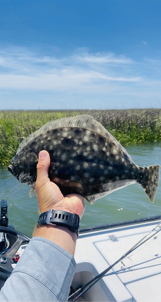 Southern Flounder fish at Kure Beach
