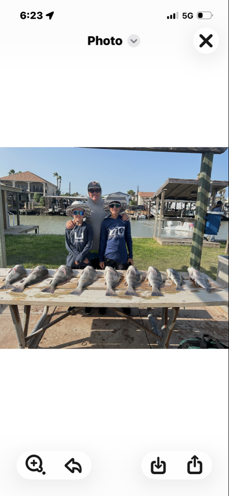 Fresh caught fish displayed on cleaning table at Port Isabel TX marina