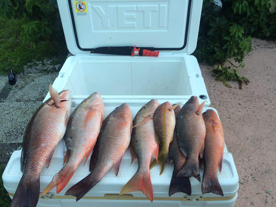 4 fish caught at Fort Pierce