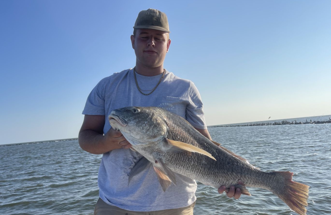 Black Drum fish caught in St Bernard