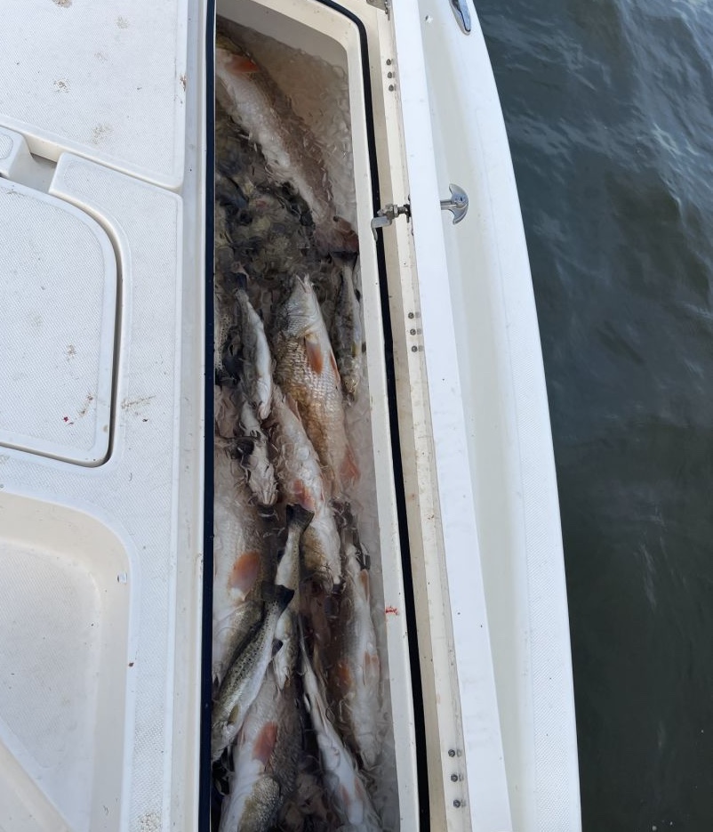 Scenic fishing spot in St Bernard