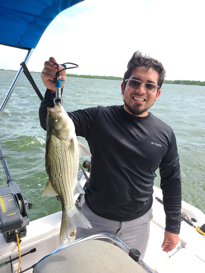 Striped bass caught in TX