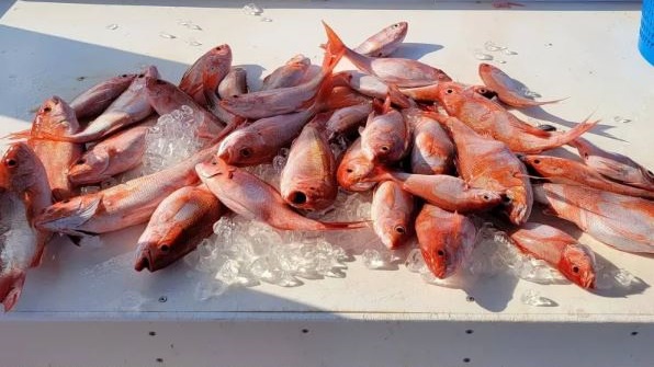 Fishing in Alabama