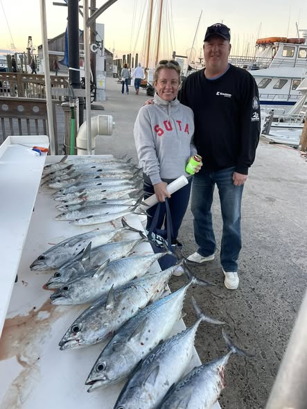 Fresh caught Little Tunny and mixed fish species displayed on dock in Key West FL