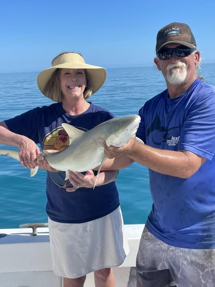 Shark catch displayed on fishing boat in Key West FL waters