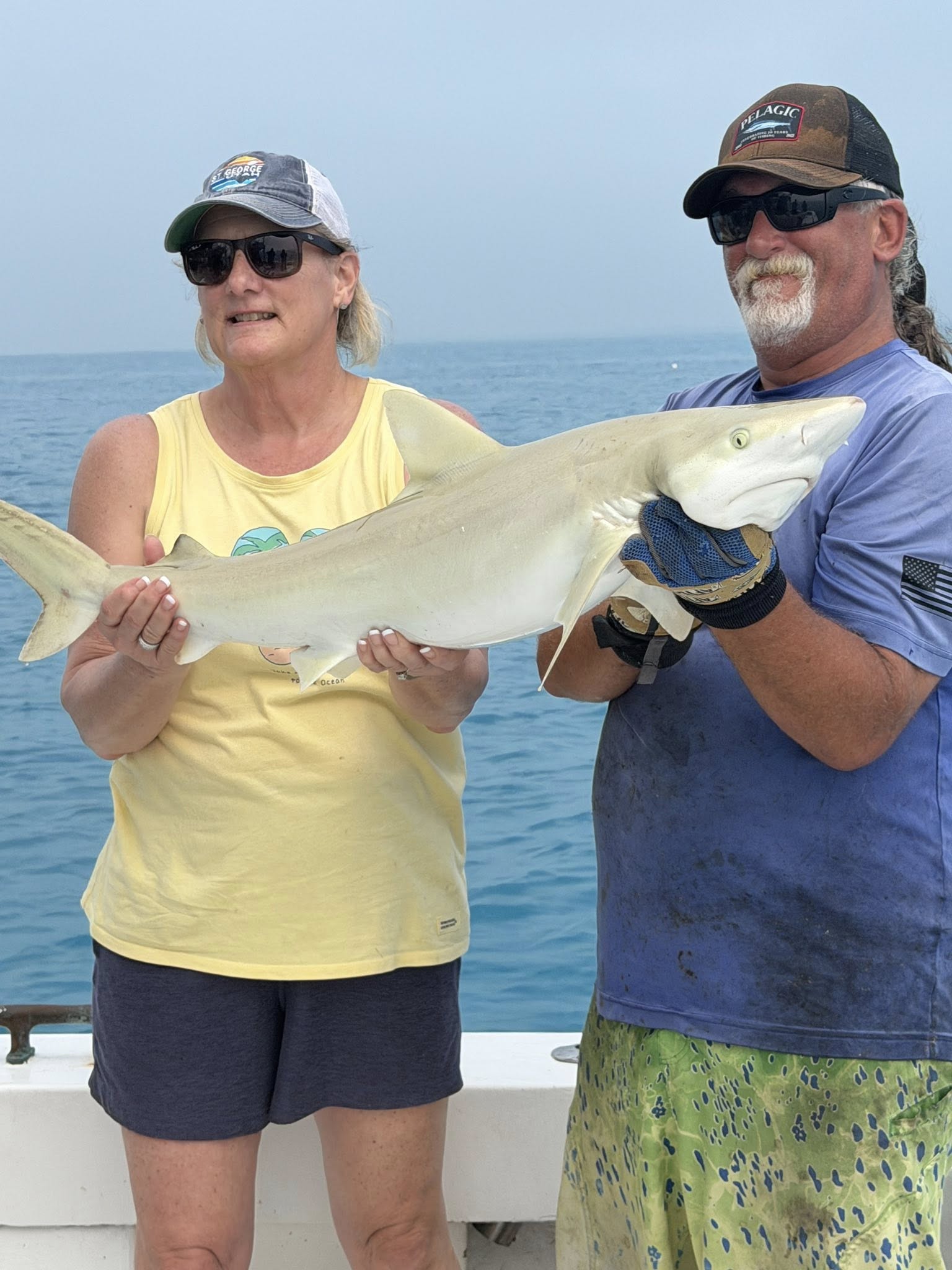 Shark caught during fishing trip in Key West FL