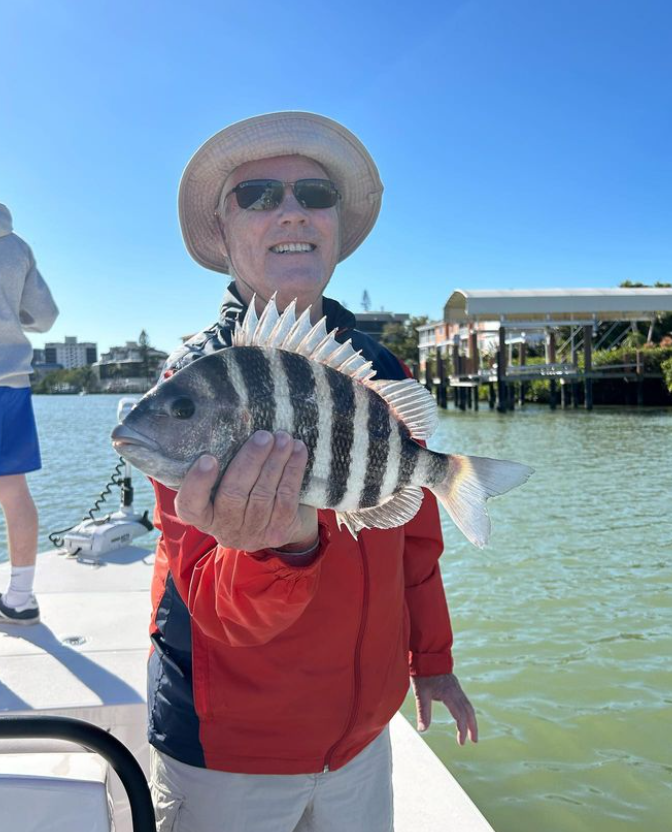 Sheepshead fish caught while fishing in Naples