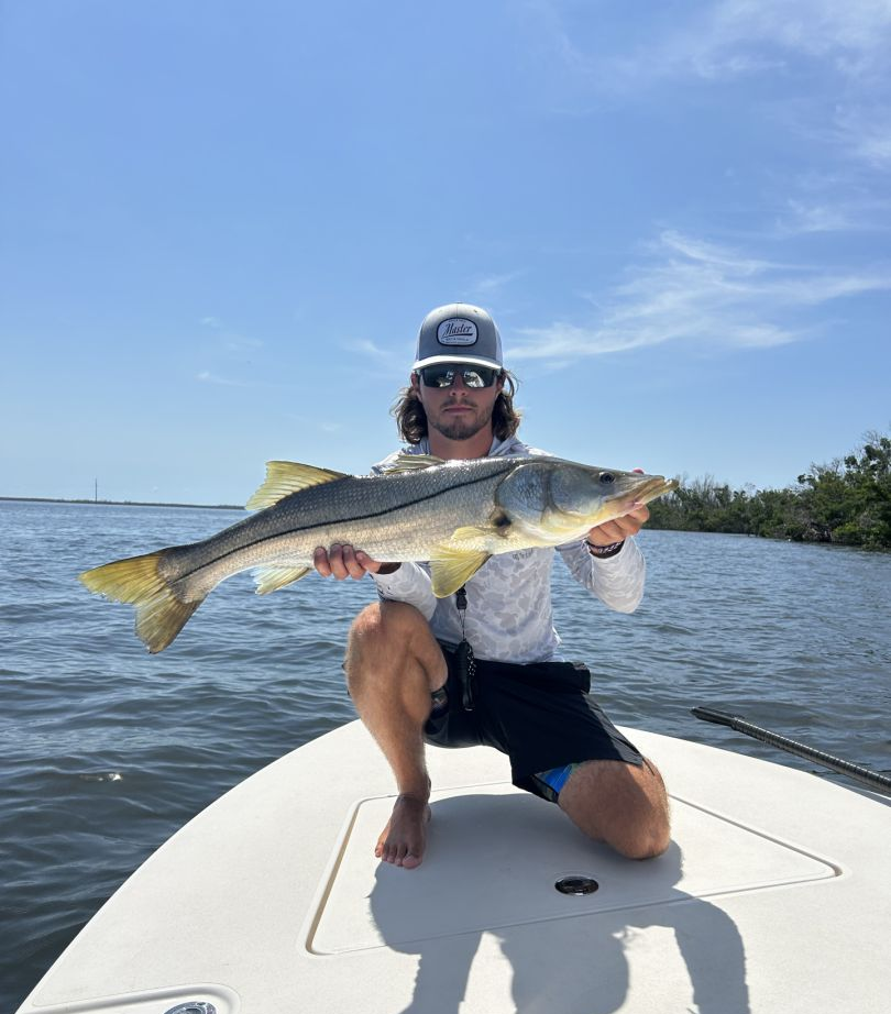 Snook fish caught in FL