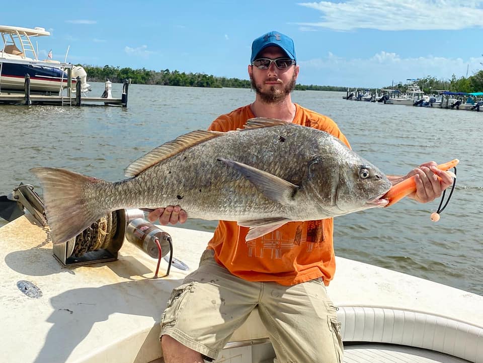 Angler catching a black drum fish in FL