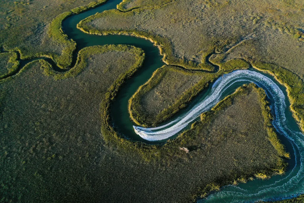 Fishing for American Eel in Wilmington