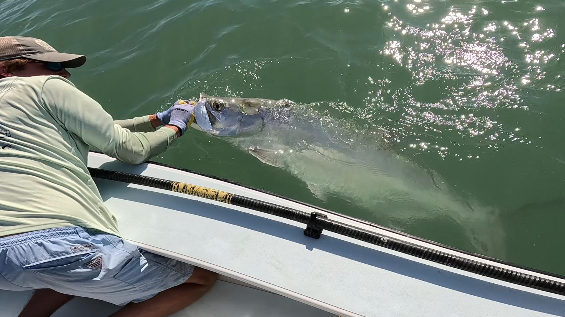 Fishing in FL