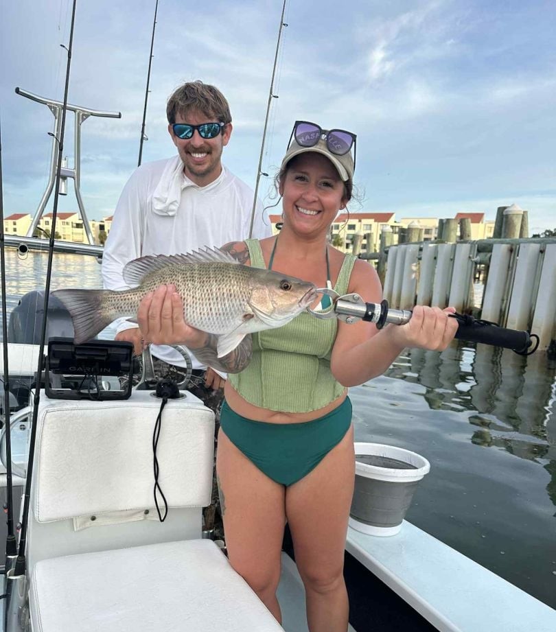 Grey Snapper caught while fishing in St. Petersburg
