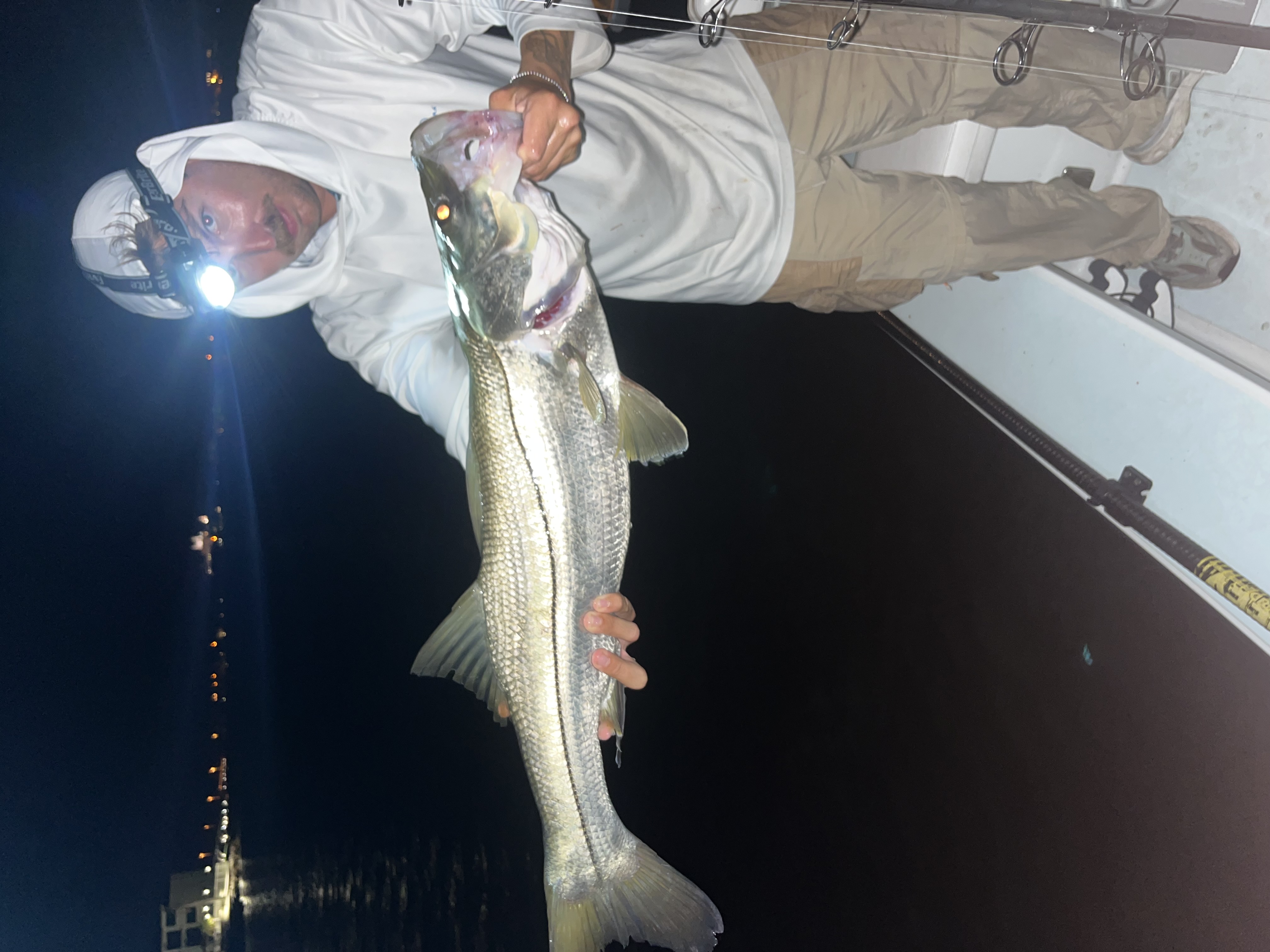 Snook fish caught while fishing in Florida