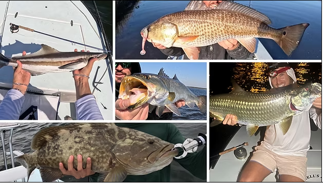St. Petersburg inshore fishing charter boat with Captain Andy targeting redfish and grouper