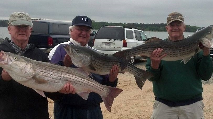 3 striped bass caught while fishing in VA