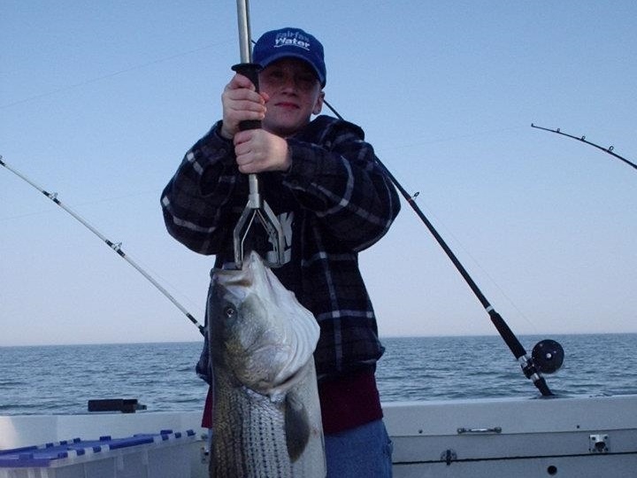 Striped bass caught in Lewisetta