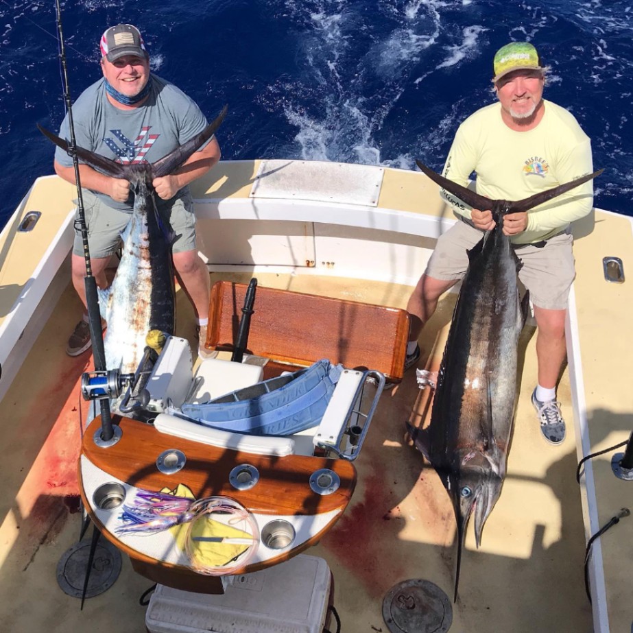 Two blue marlin, each measuring 39 inches, caught in Haleiwa